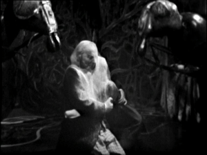 Timestamp 013 The Web Planet