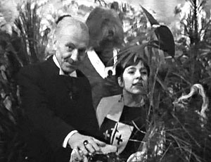 Timestamp 023 The Ark